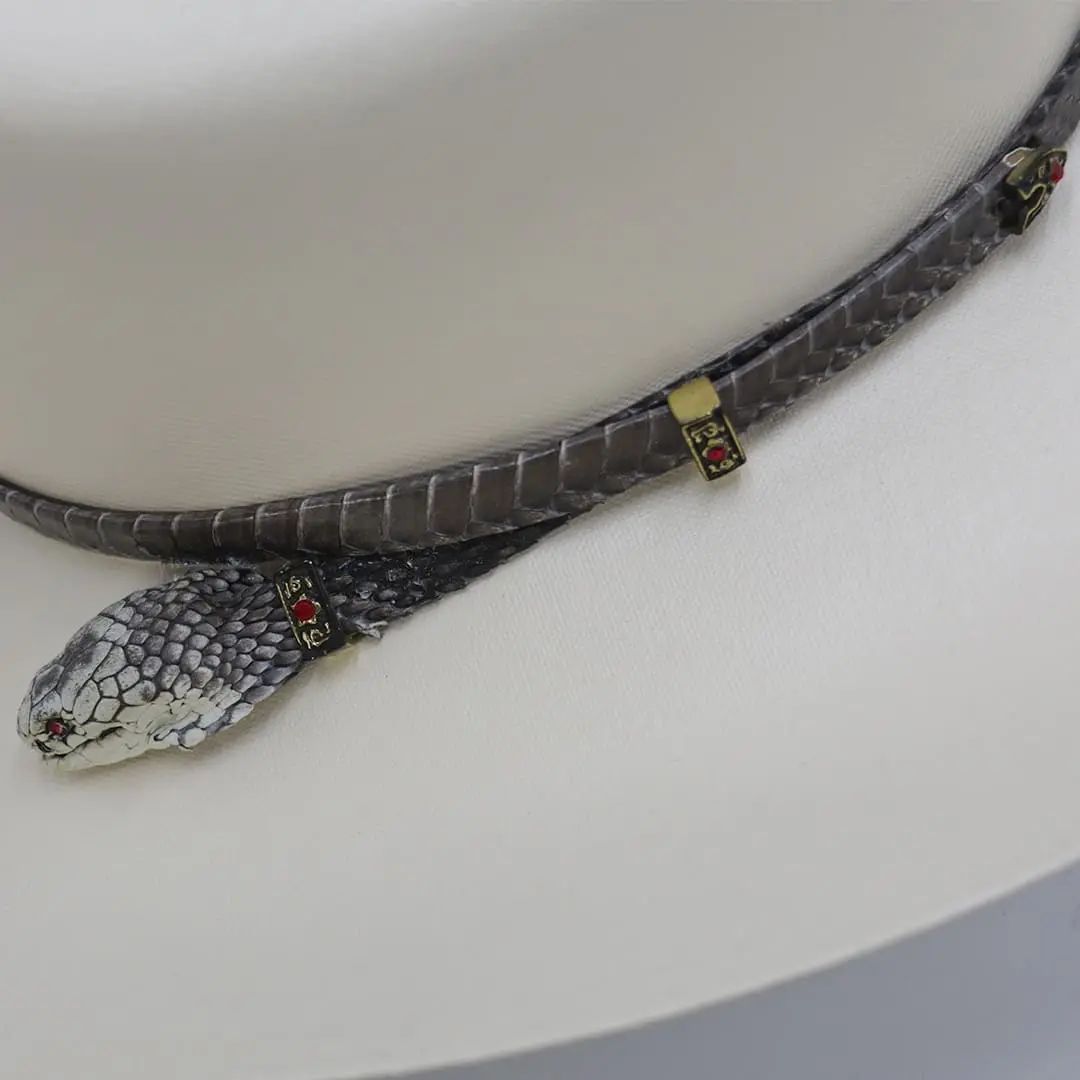 Sombrero Cobra 5000x