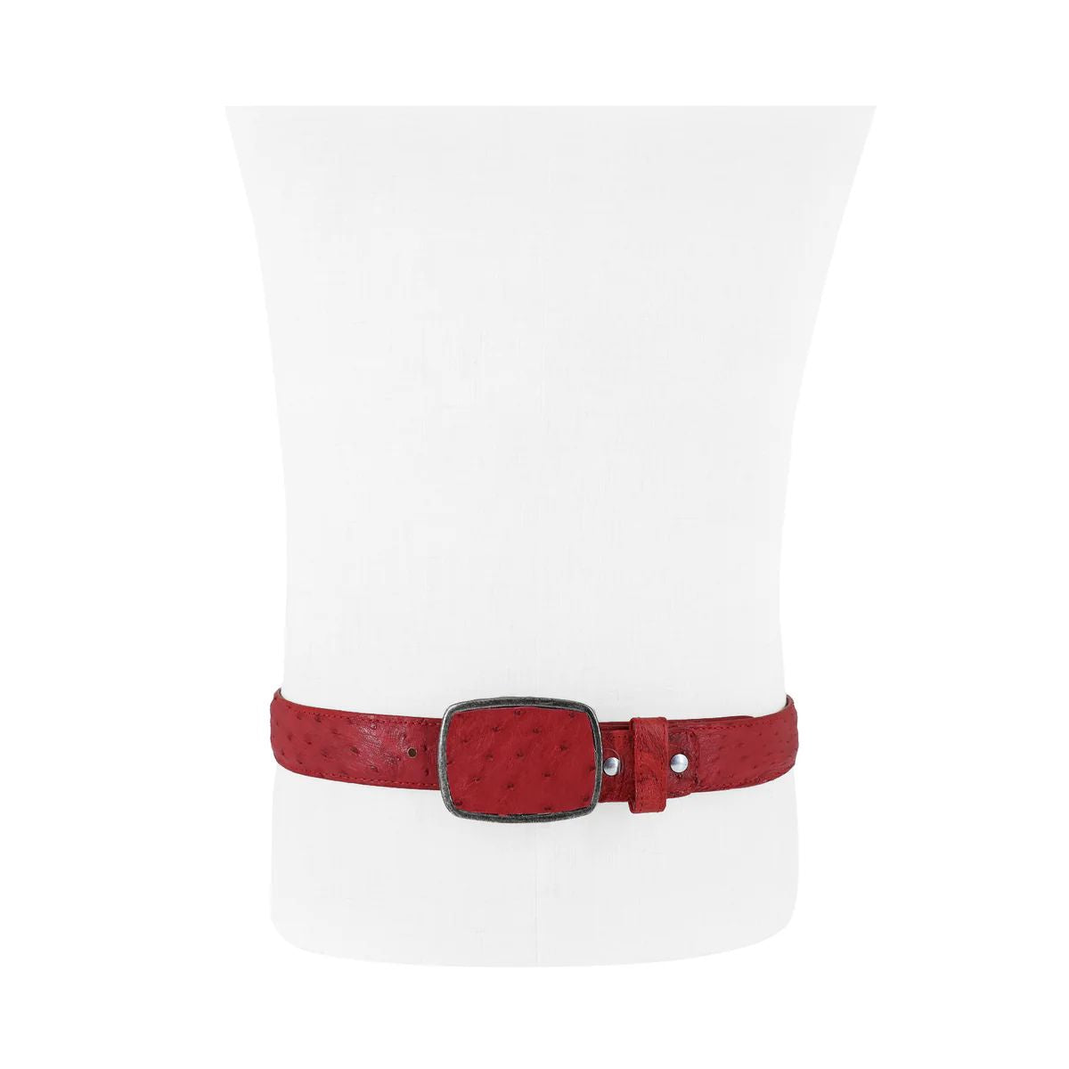 CINTURÓN VAQUERO CON HEBILLA DE METAL AVESTRUZ